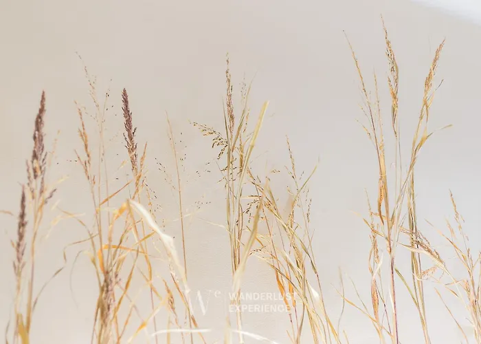 Appartement Gs Group La Rosa Dei Venti